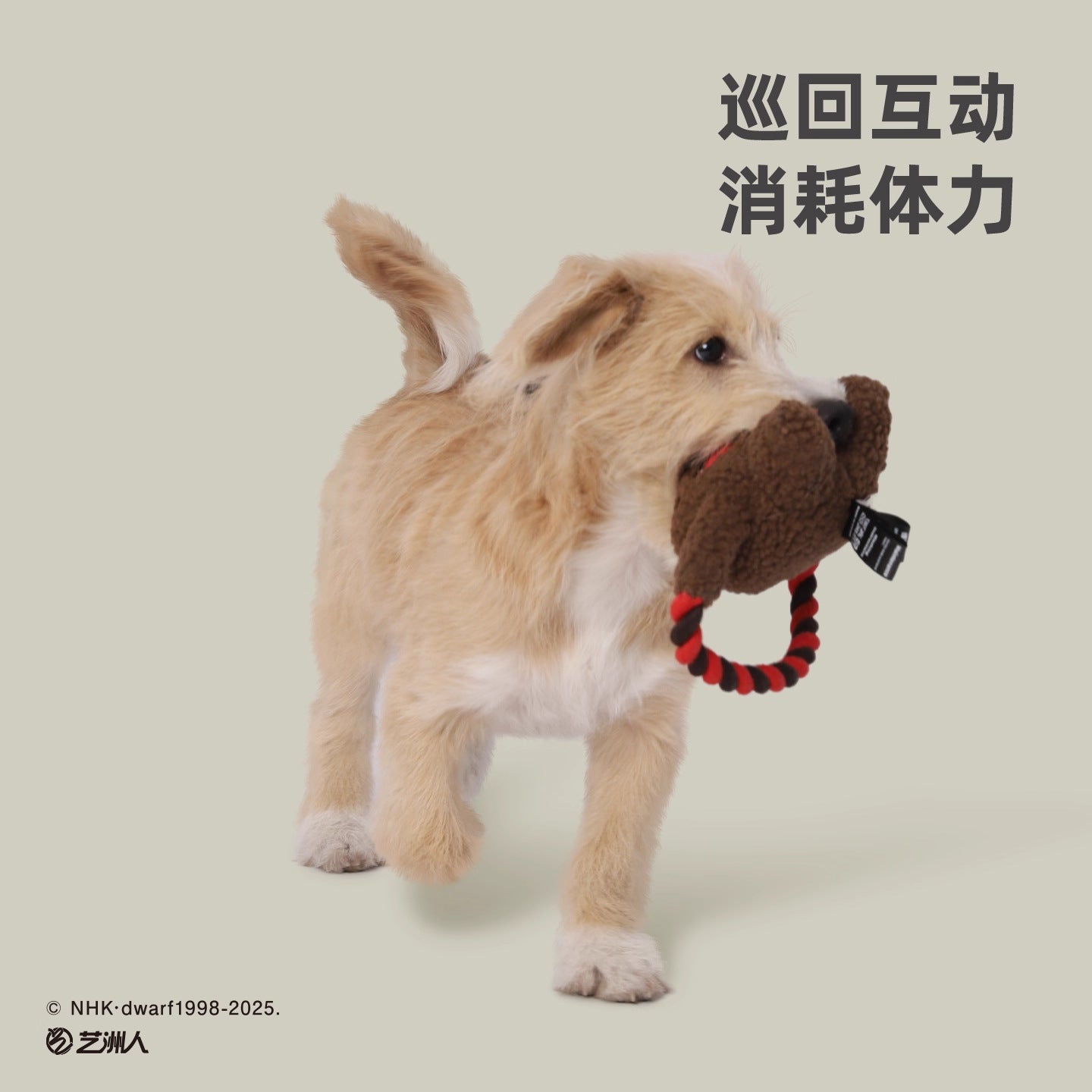 Fujima Ma - Domo-kun x Hoopet ✦ Retro "Monster Bite" Squeaky Rope Toy - Detail View 3